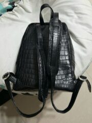 🐊 Crocodile Skin 7th Backpack - 图片 6